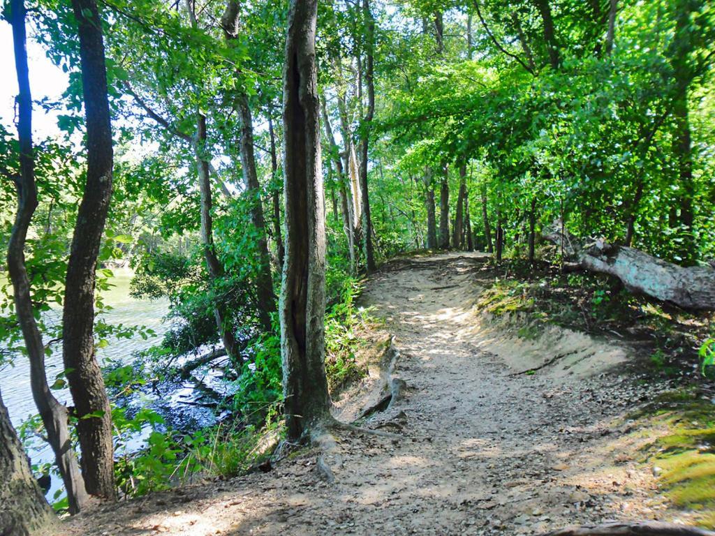 Private Boho Bungalow 10 Minutes To Downtown Rva! Ричмънд Екстериор снимка